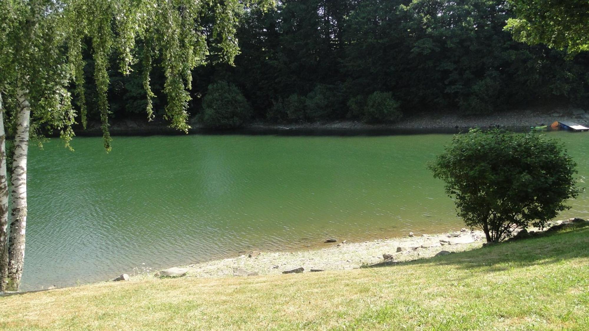 Maison Lac De Pareloup -Les Pieds Dans L'Eau- Arvieu Exteriör bild